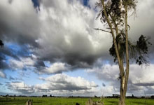 武汉桑拿价格查询 洗浴搓背一般多少钱