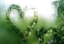 去年夏天武汉光谷软件园遇老同学李明，他因加班压力大苦不堪言