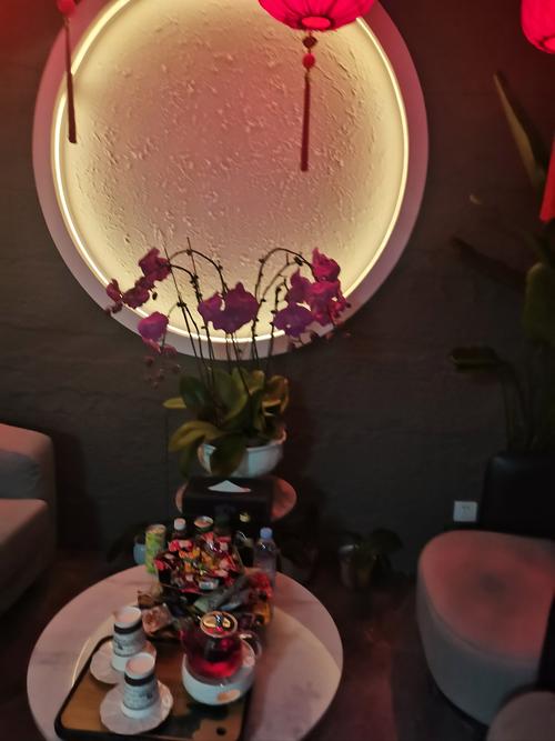 武汉的养生馆里有什么服务项目_武汉哪里有服务好的养生_武汉养生sz