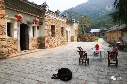 武汉休闲效果咋样？老张的经历给了全新认识