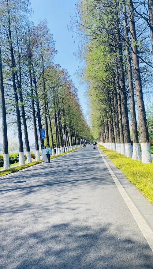 武汉休闲sz_武汉休闲屋2020_武汉休闲怎么样